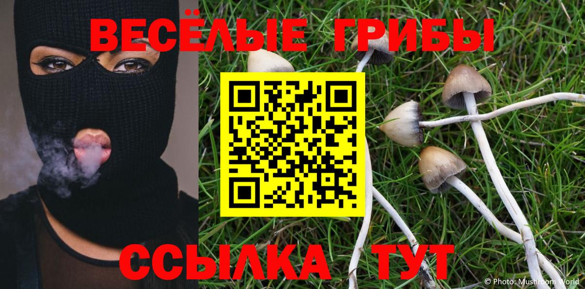 Галлюциногенные грибы Magic Shrooms Павловский Посад