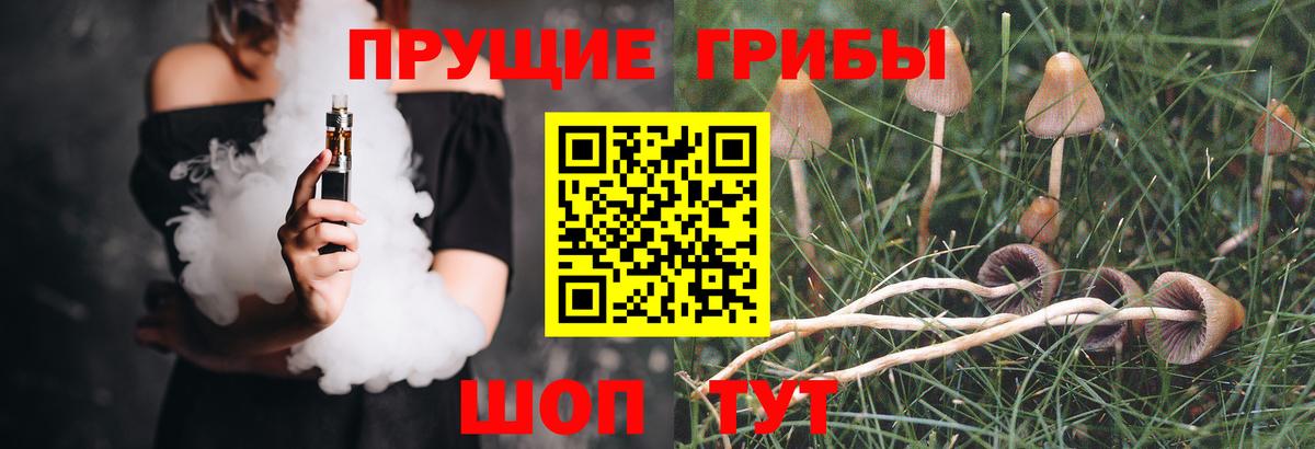 Псилоцибиновые грибы Magic Shrooms  Псилоцибиновые грибы GOLDEN TEACHER  где продают наркотики  Павловский Посад  Вход с VPN 